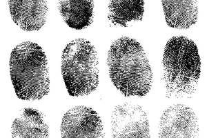 hartford criminal defense lawyer