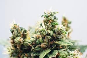 hartford criminal defense lawyer